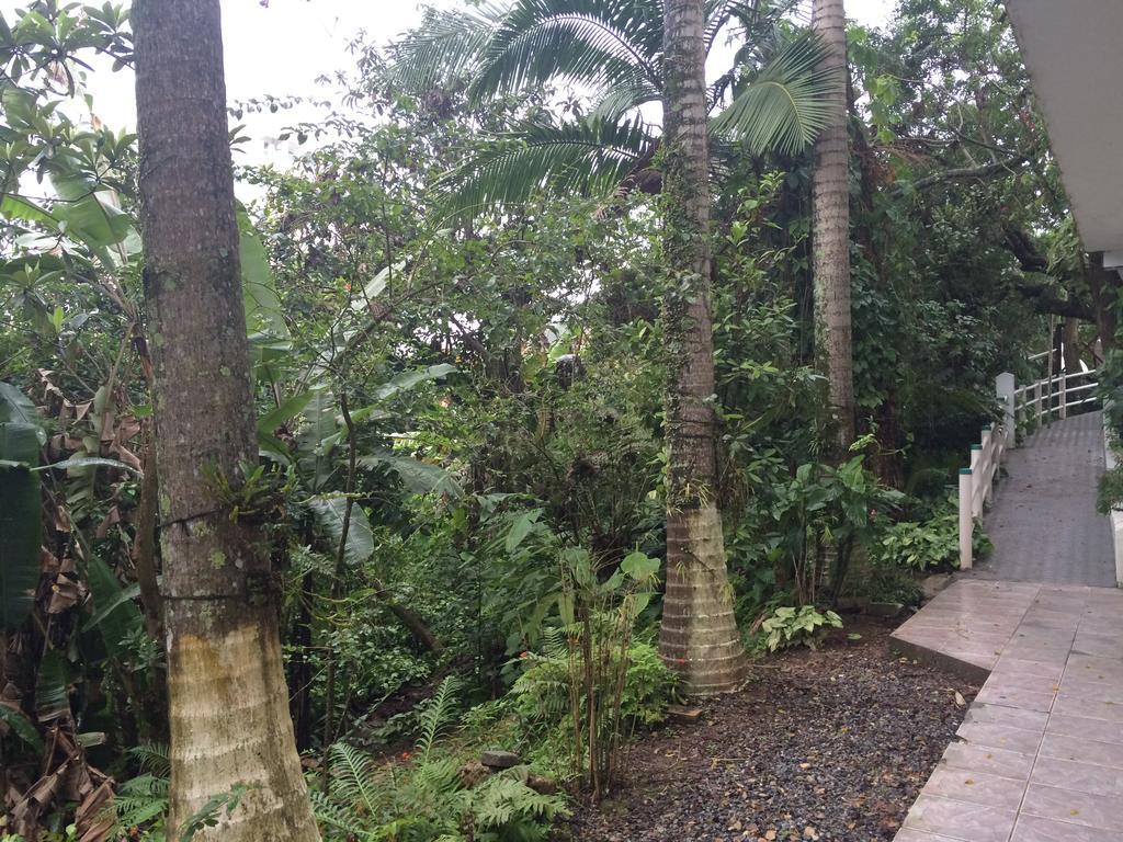Hotel Pousada Reimar Balneário Camboriú Zewnętrze zdjęcie